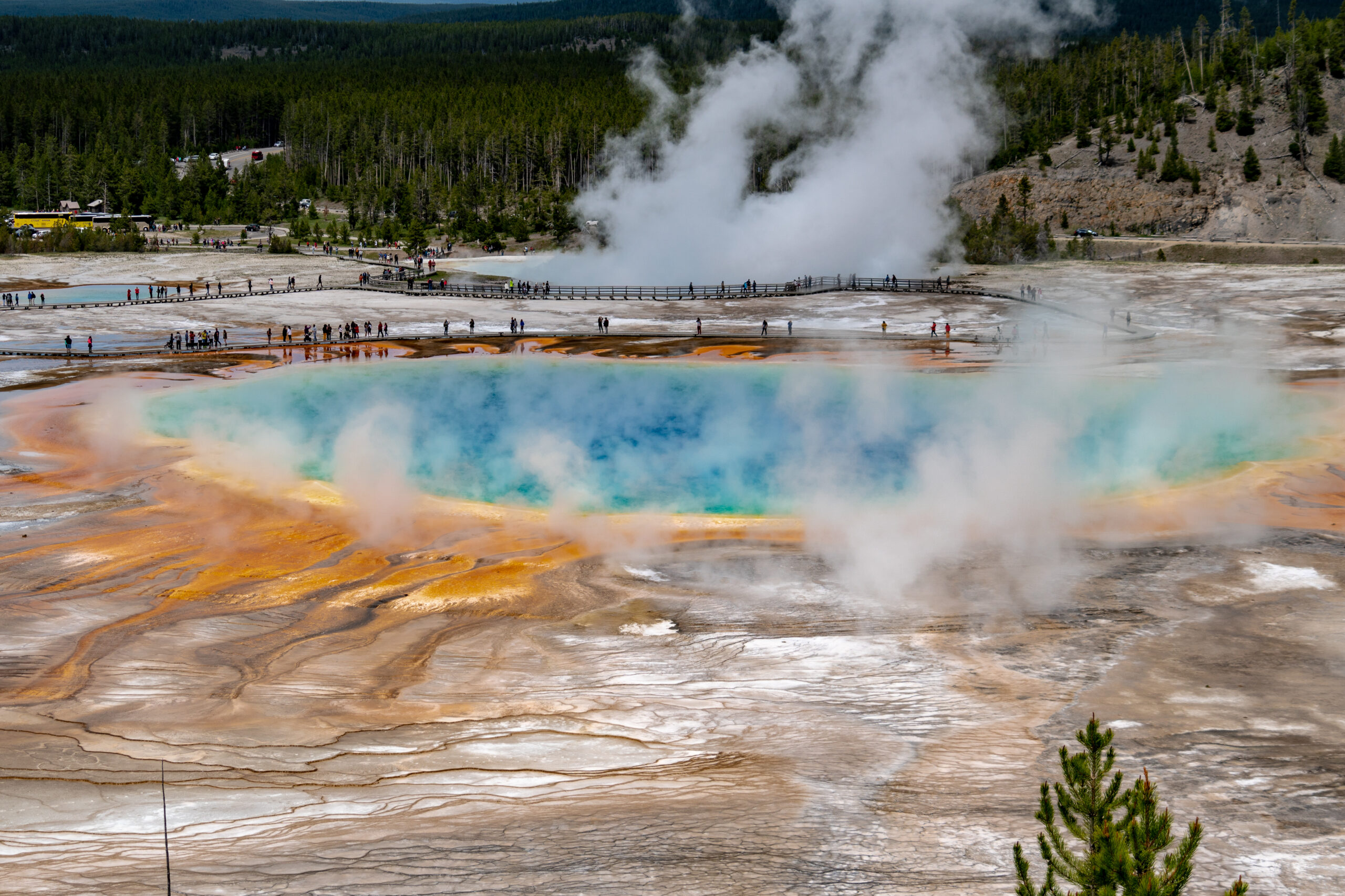 Grand Prismatic Spring in Yellowstone National Park, taken from the Grand Prismatic Overlook by National Park Travel Advisor Kim Magaraci