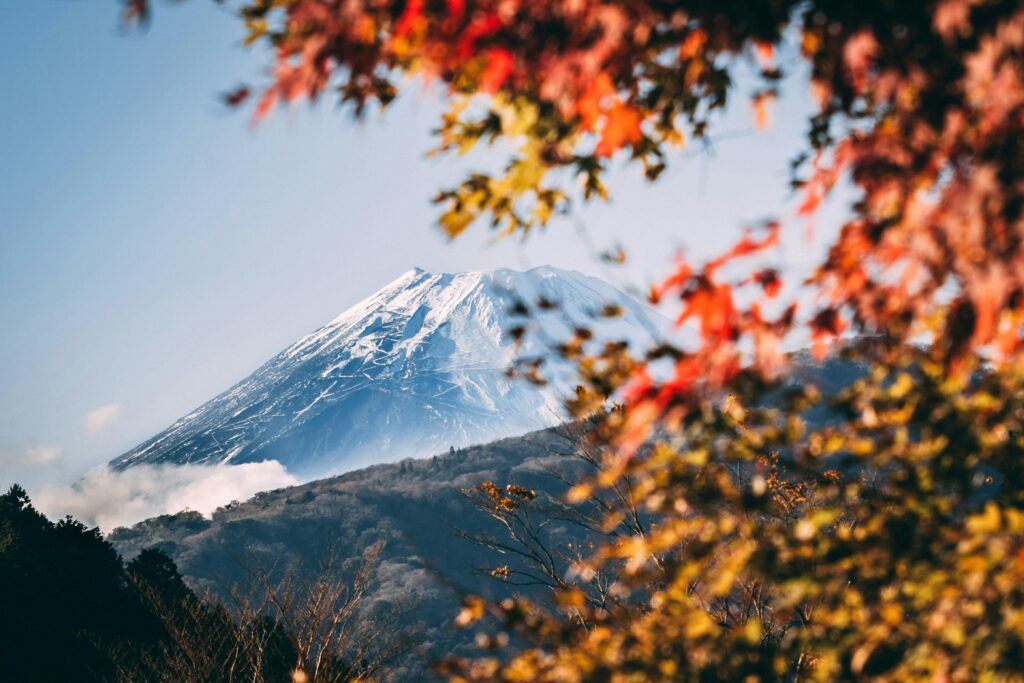 Snow-capped Japanese mountain framed by vibrant yellow and red autumn leaves in the foreground, capturing the seasonal transition from fall to winter.
