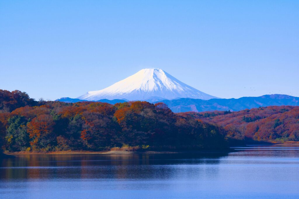 Snow-capped mountain towering above a forest of trees in vibrant autumn colors, with shades of gold, orange, and red at the base contrasting against the white peaks under a clear sky.