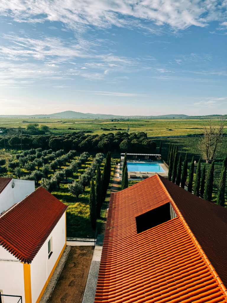 Beautiful property in Alto Alentejo