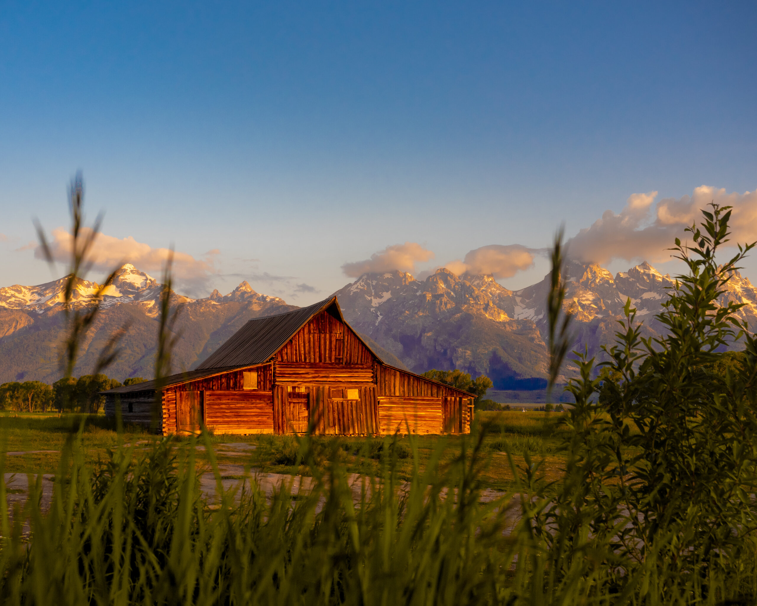 The famous Moulton Barn on Mormon Row in Grand Teton National Park at sunrise, with the Grand Tetons in the background and tall grass in the foreground.